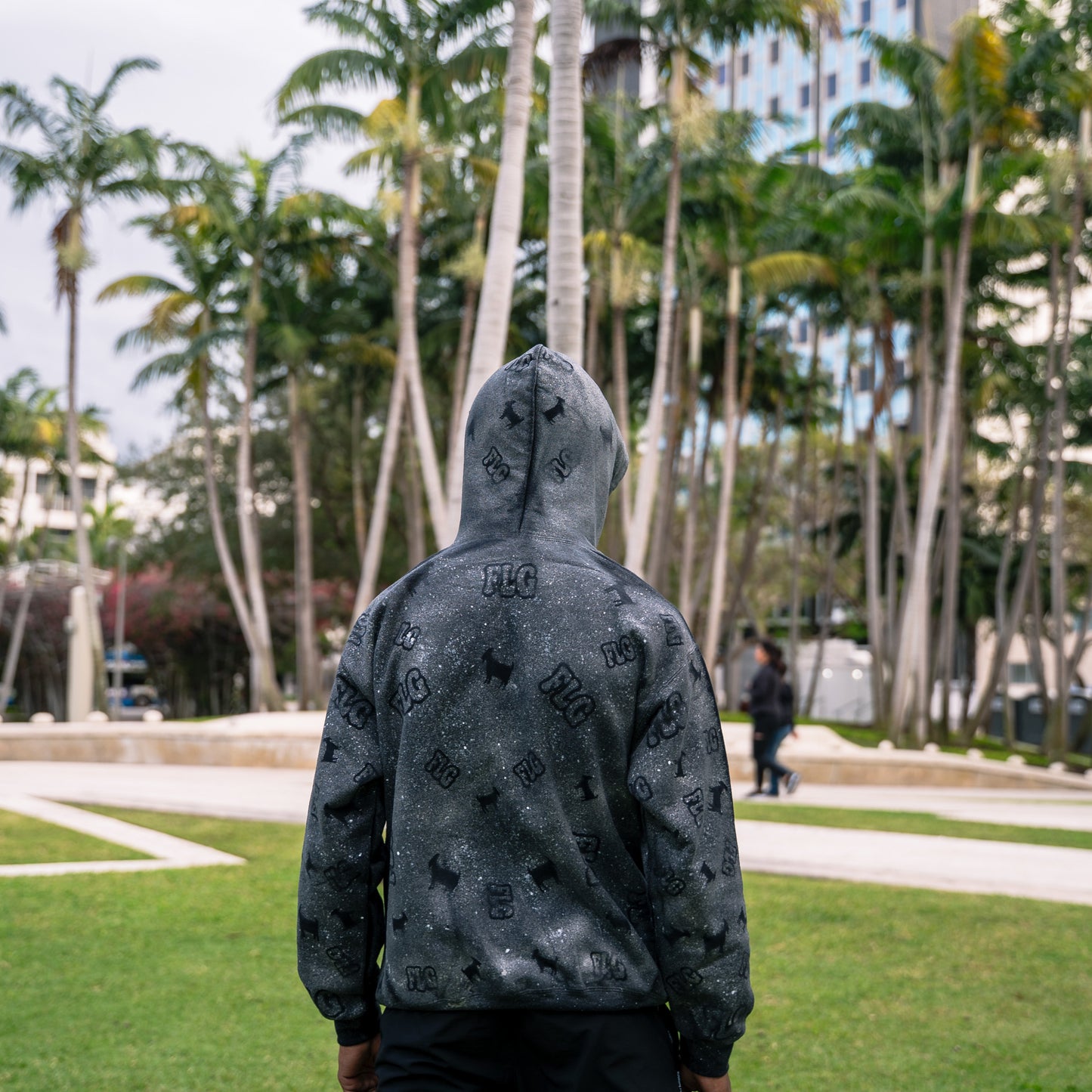"FLG HOODIE"
