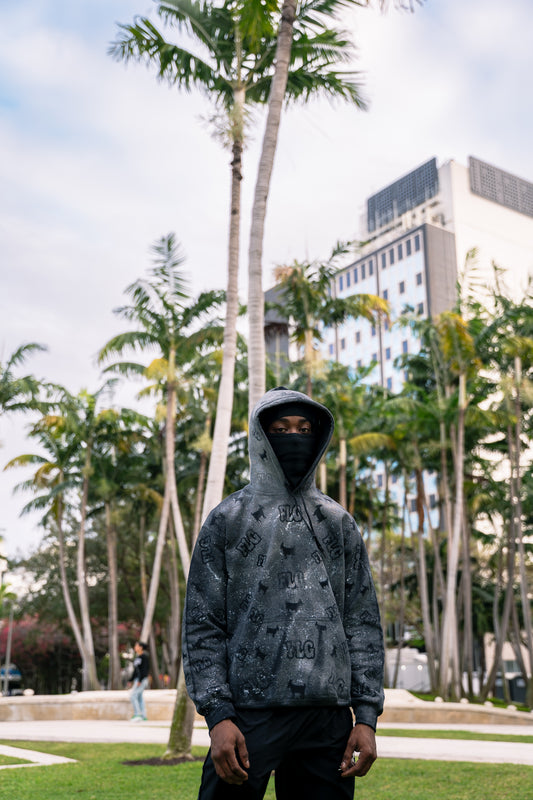 "FLG HOODIE"